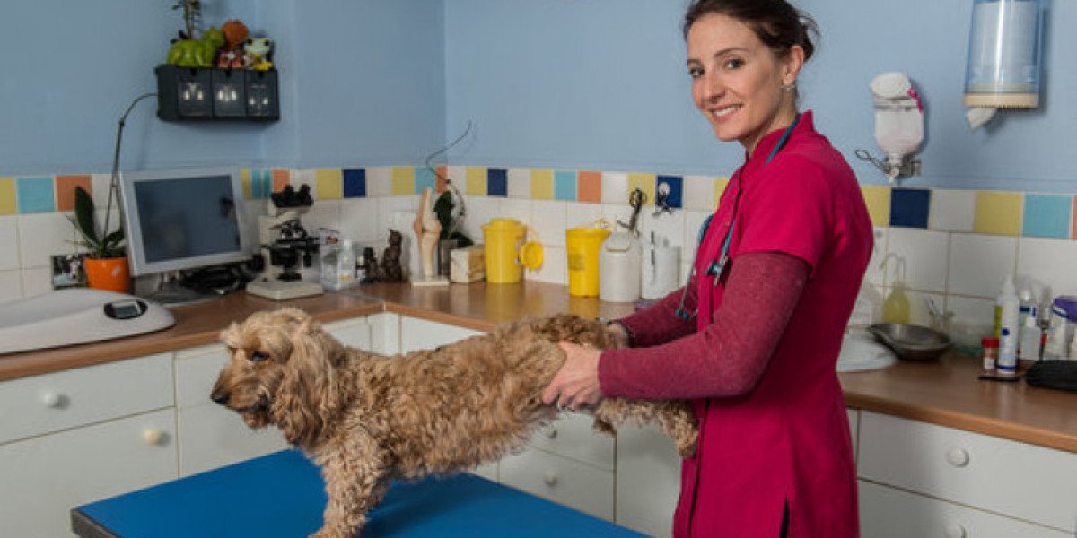 Cómo reconocer y prevenir las enfermedades cardíacas en tu mascota