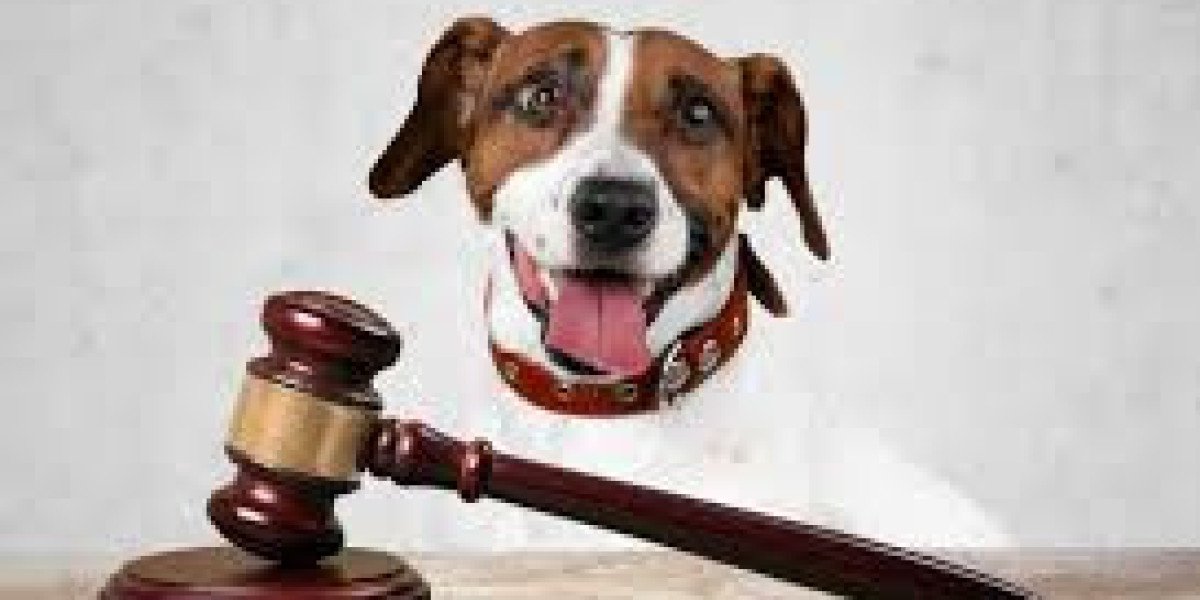 DOG LAWS IN KENTUCKY: A COMPREHENSIVE GUIDE FOR PET OWNERS