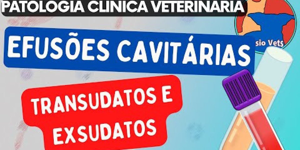 Sorologia Felina: Entendendo as Dificuldades na Identificação de FIV e FeLV em Gatos Jovens