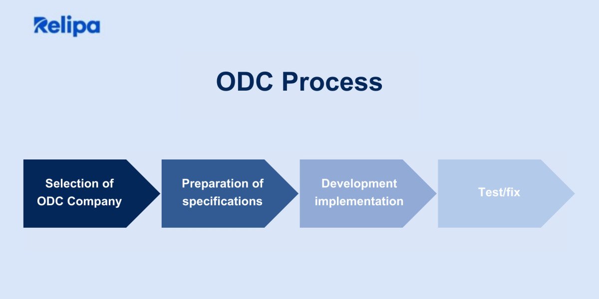 What Are the Different Offshore Software Development Models?