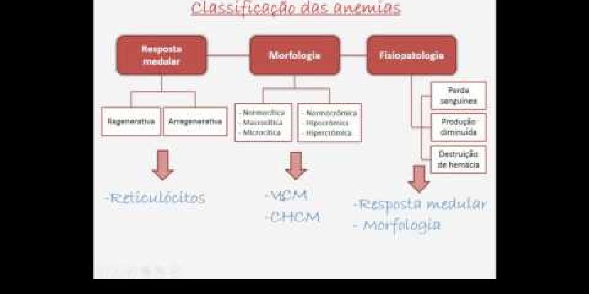 Cultura e Antibiograma: Revelando os Segredos da Identificação Bacteriana