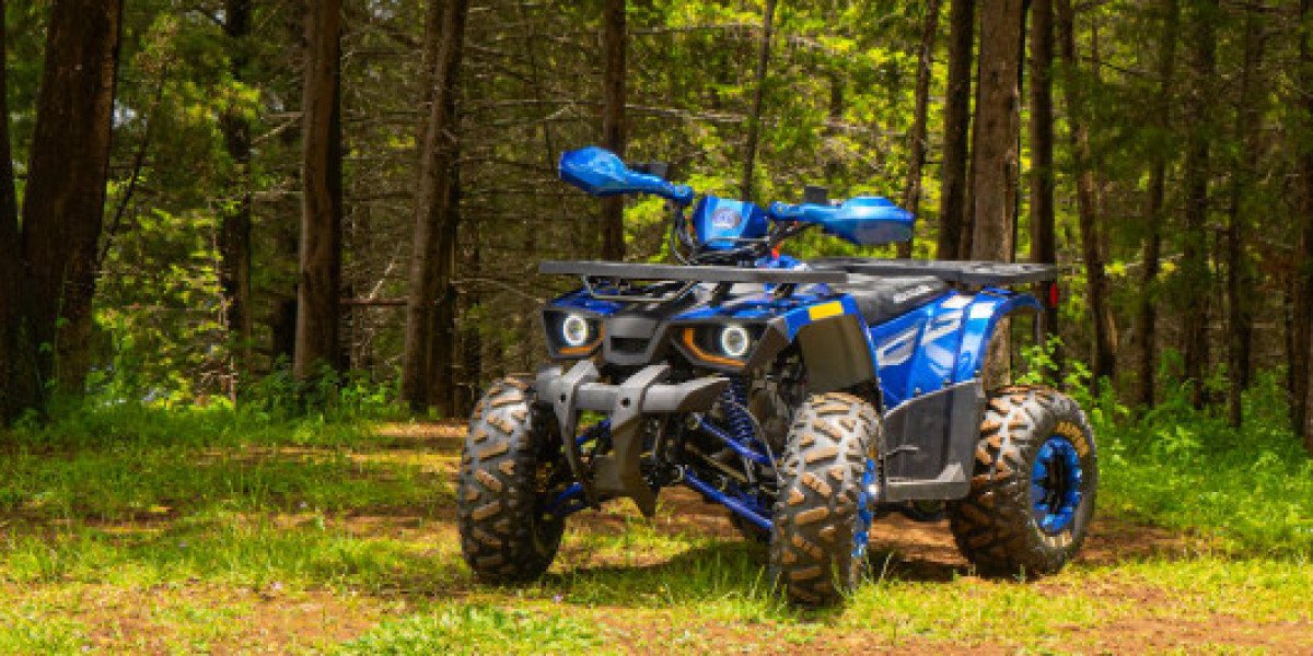 Explore Sedona’s Trails with Top-Quality UTV Rentals