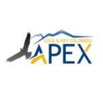 apex locklocksmith Profile Picture